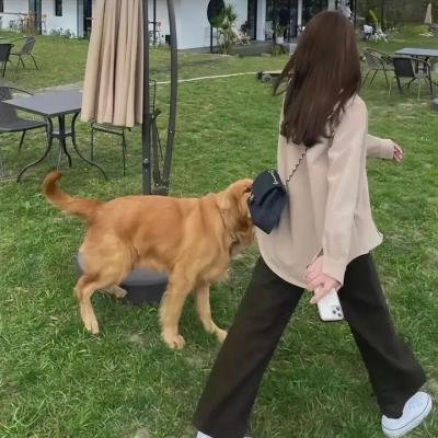 笼中鸟